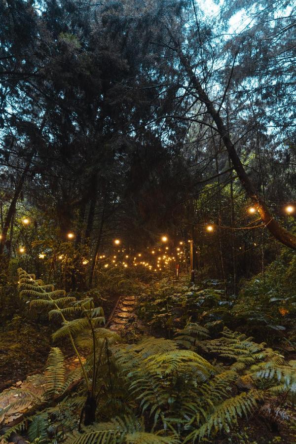 Hotel Oculto Refugio De Bosque Envigado Exteriér fotografie
