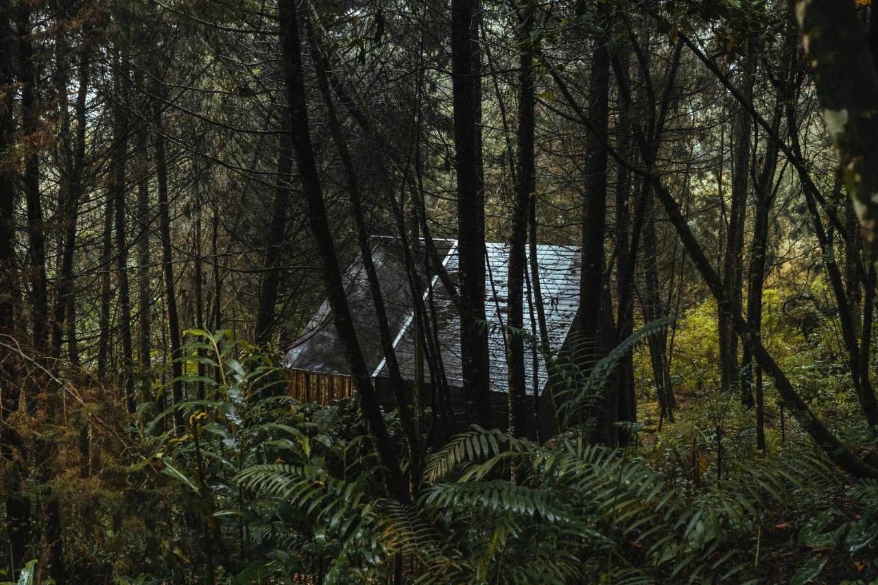 Hotel Oculto Refugio De Bosque Envigado Exteriér fotografie