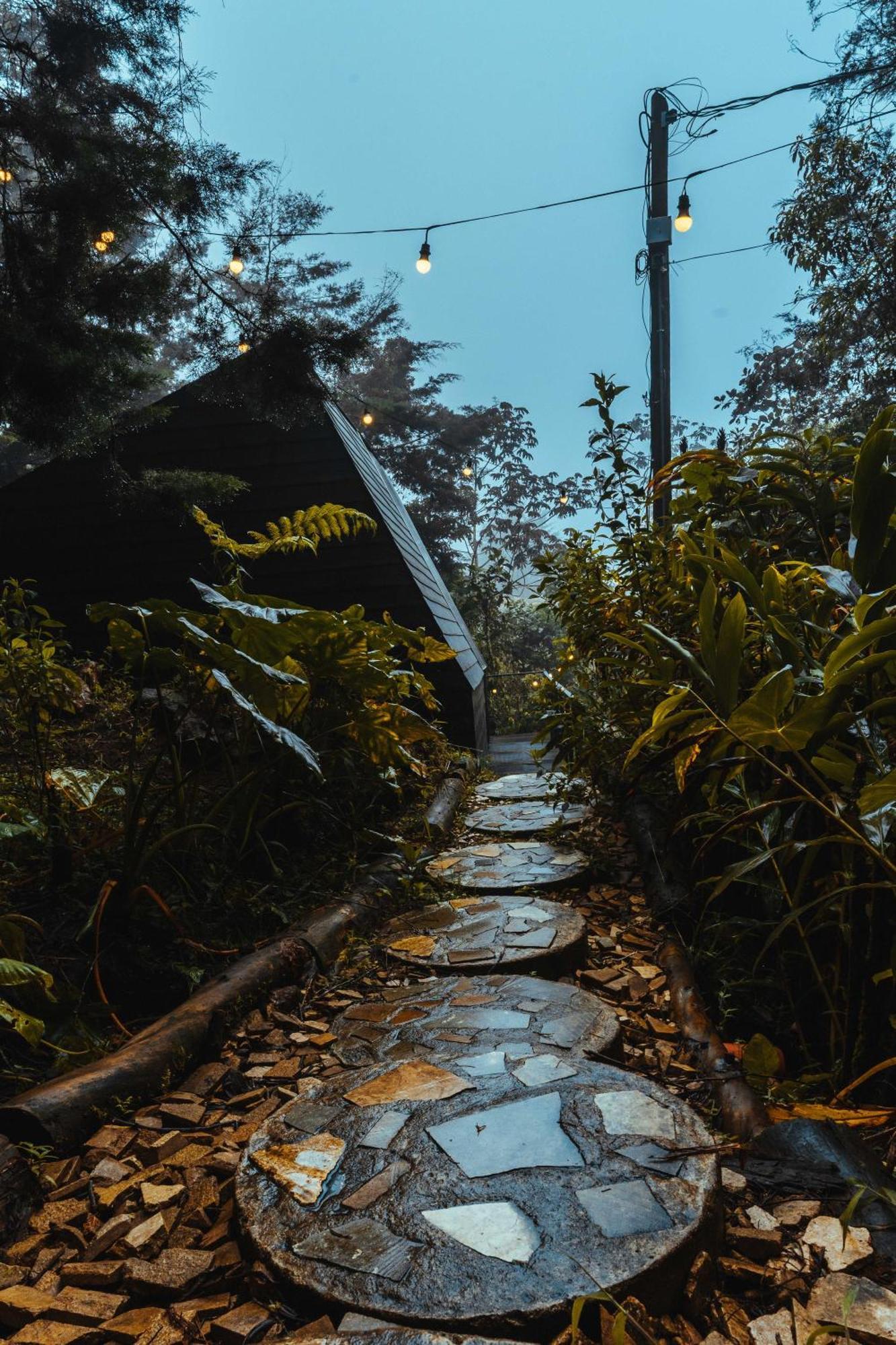 Hotel Oculto Refugio De Bosque Envigado Exteriér fotografie